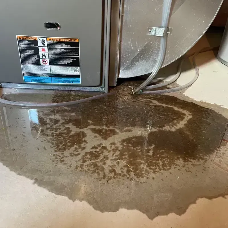 Appliance Leak Cleanup in New Franklin, MO